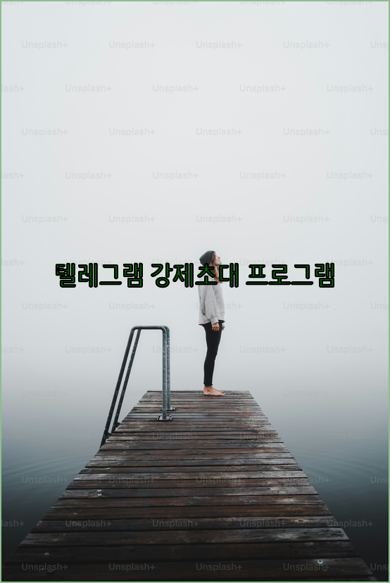 텔레그램 디비 강제초대