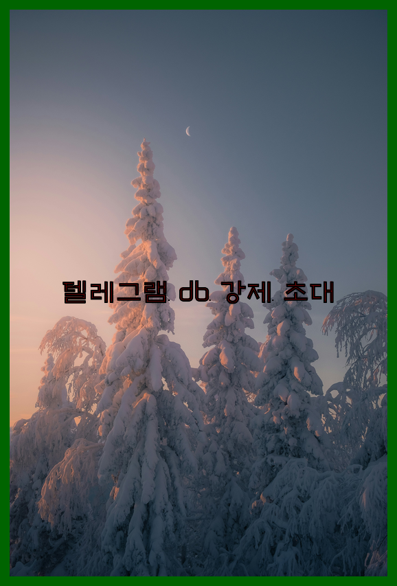 텔레그램 디비 강제초대