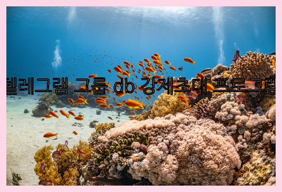 텔레그램 그룹 db 강제초대 프로그램